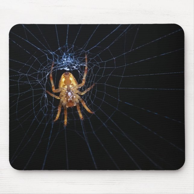 Mousepad Aranha na teia aranha (Frente)