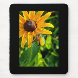 Mousepad Aranha no Bocal de Girassol