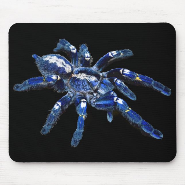 Mousepad Aranha tarântula, aracnídeo, aranha azul grande/pr (Frente)