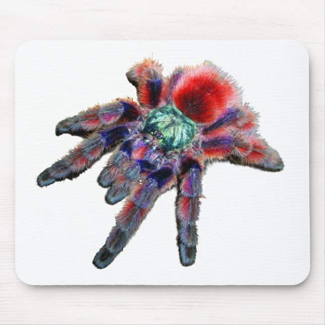 Mousepad Aranha tarântula, aracnídeo, aranha grande azul/ve (Frente)