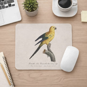 Mousepad Aratinga-solsticial ou Jandaia-solsticial Aratinga