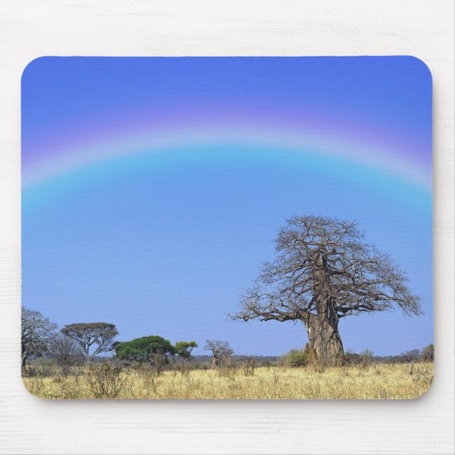 Mousepad Arco-íris e árvore baobá africano, Adansonia (Frente)