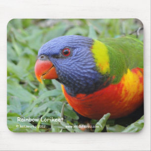 Mousepad Arco-íris Lorikeet