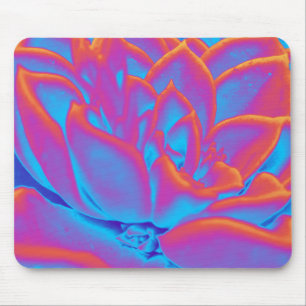 Mousepad Arco-íris - Planta suculenta