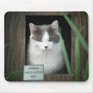 Mousepad Área de acesso limitada
