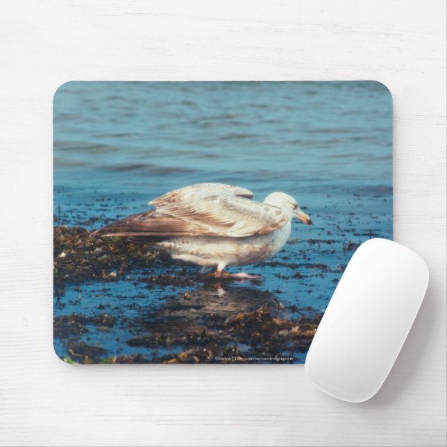 Mousepad Arenque Gull P1046 (Com mouse)