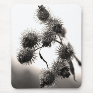 Mousepad Arinca seca