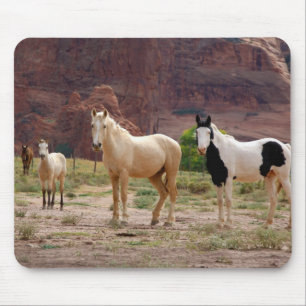 Mousepad Arizona, Reserva Indiana Navajo, Chinle,