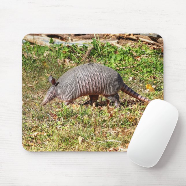 Mousepad Armadillo (Com mouse)
