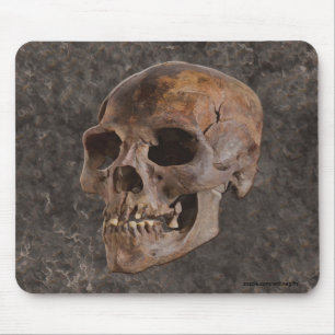 Mousepad Arqueologia II - Crânio no fundo do Pedra-efeito