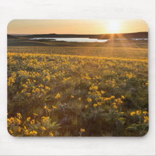 Mousepad Arranjo de Flores Silvestres de Balsamroot de Folh