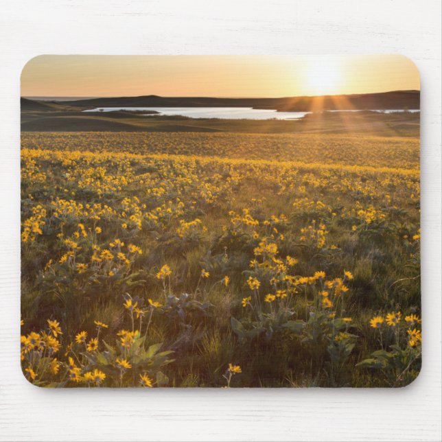 Mousepad Arranjo de Flores Silvestres de Balsamroot de Folh (Frente)