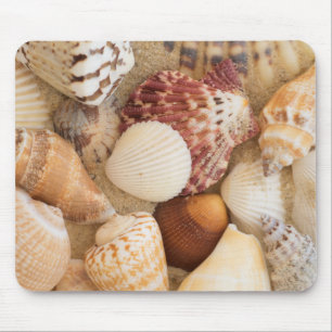 Mousepad Arranjo do Seashell