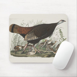 Mousepad Arte Audubon Peru Selvagem Galinha & Jovem