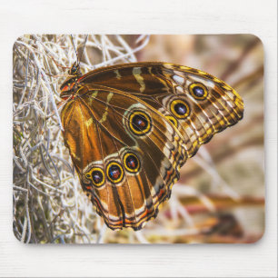 Mousepad Arte de Foto da Vida Selvagem da Borboleta Azul De