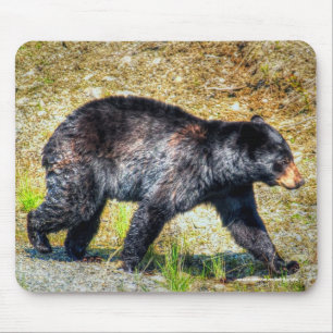 Mousepad Arte de Foto sobre Vida Selvagem do Urso Negro And