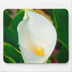 Mousepad Arte de Natureza Fotografia Botânica Macro de Líri