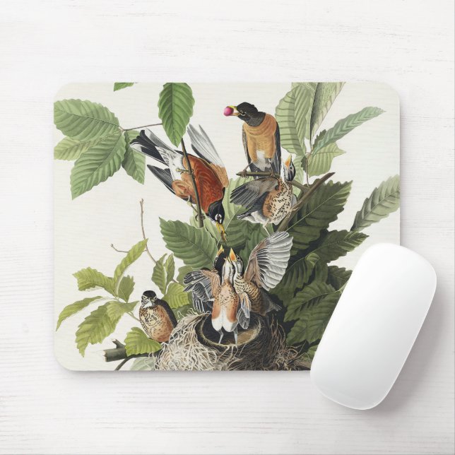 Mousepad Arte de ninho de pássaro do antigo Robin Americano (Com mouse)