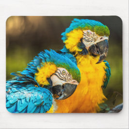 Mousepad Arte de Parede de Foto da Vida Selvagem Companheir
