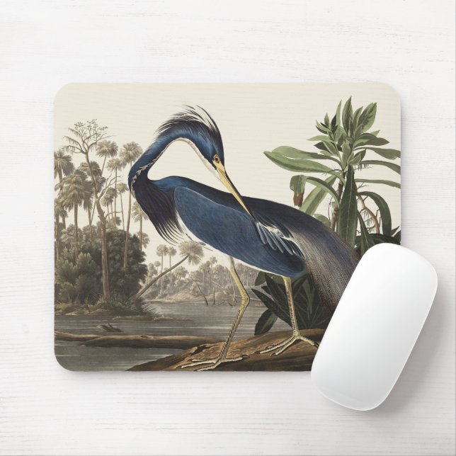 Mousepad Arte de Pássaro da Garça da Louisiana de Audubon V (Com mouse)