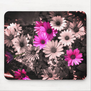 Mousepad Arte Flor Africana Daisies