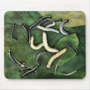 Mousepad Arte Fotográfica Catalpa Worms Catfish Bait