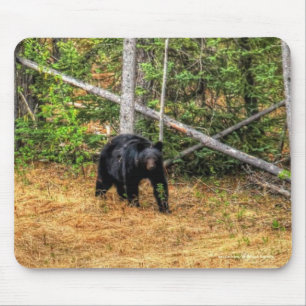 Mousepad Arte Fotográfica do Urso Negro Selvagem e Floresta