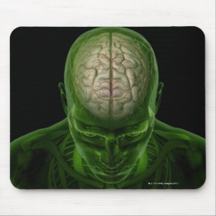 Mousepad Artérias do cérebro