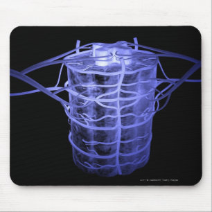 Mousepad Artérias que cercam a parte da coluna espinal