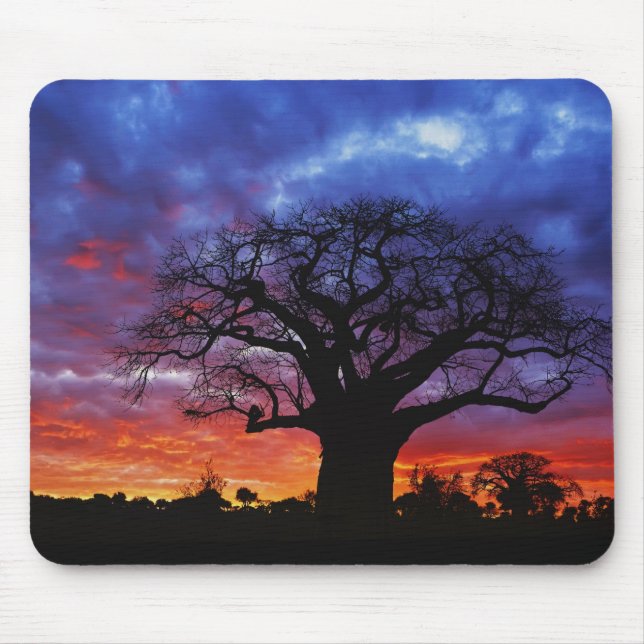 Mousepad Árvore baobá africana, Adansonia digitata, 2 (Frente)