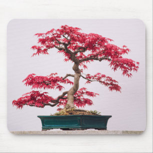 Mousepad Árvore Bonsai de bordo japonês vermelho