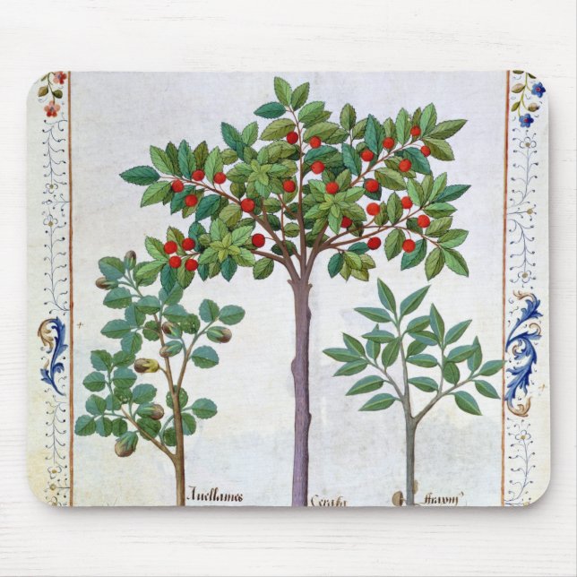 Mousepad Árvore da avelã Bush e de cereja (Frente)
