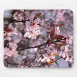 Mousepad Árvore de ameixa de cereja rosa