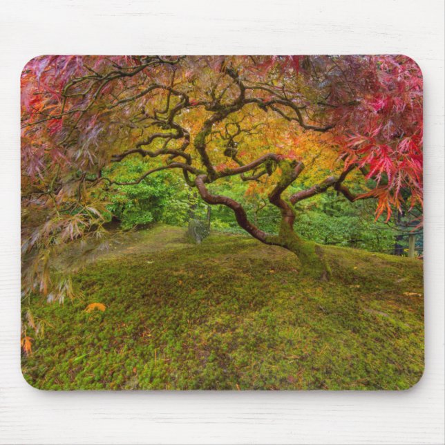 Mousepad Árvore de bordo japonês em cor de outono (Frente)