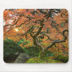 Mousepad Árvore de bordo nos jardins japoneses no outono