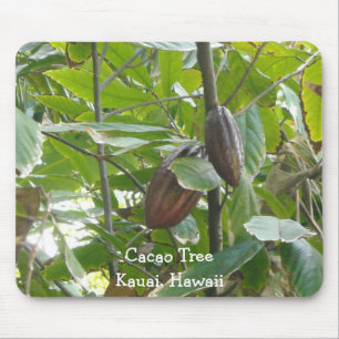 Mousepad Árvore de Cacau, Kauai, Havaí