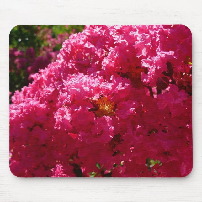 Mousepad Árvore de Crape Myrtle Flor Magenta (Frente)