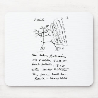 Mousepad Árvore de Darwin