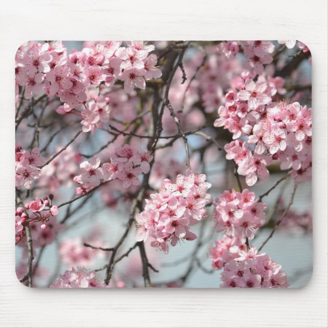 Mousepad Árvore de Flores de Cerejeira Rosa (Frente)