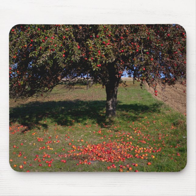 Mousepad Árvore de Maçã Antiga (Frente)