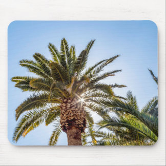 Mousepad Árvore de Palma 4024 com Sunburst