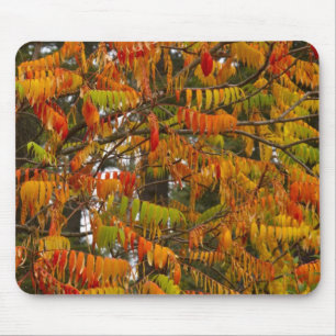 Mousepad Árvore de sumagre em cor de outono em Whitefish,
