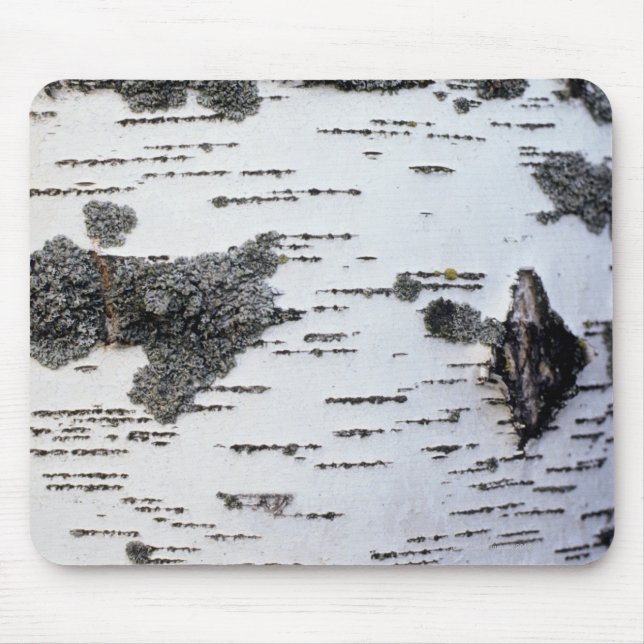 Mousepad Árvore de vidoeiro na floresta, detalhe, com musgo (Frente)