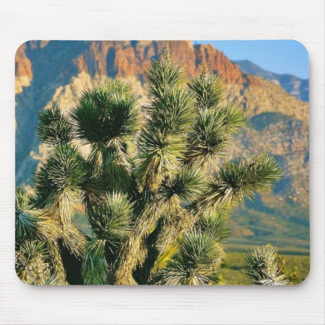 Mousepad Árvore do cacto (Frente)