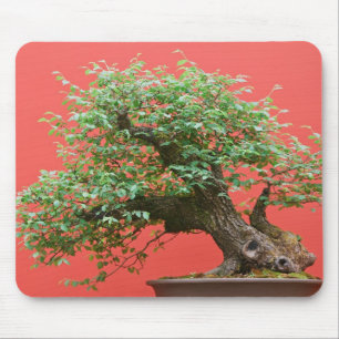 Mousepad Árvore dos bonsais de Zelkova