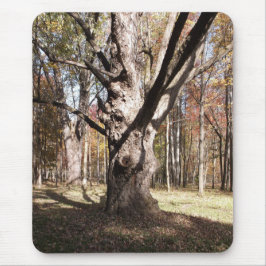 Mousepad Árvore Estranha