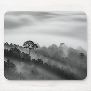Mousepad Árvore grande na floresta do pinho na névoa