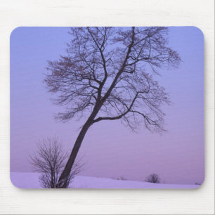 Mousepad Árvore Inclinada em Campo Nevado; Condado de Chipp