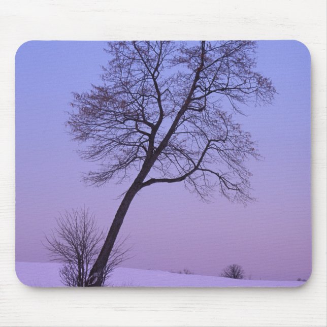 Mousepad Árvore Inclinada em Campo Nevado; Condado de Chipp (Frente)