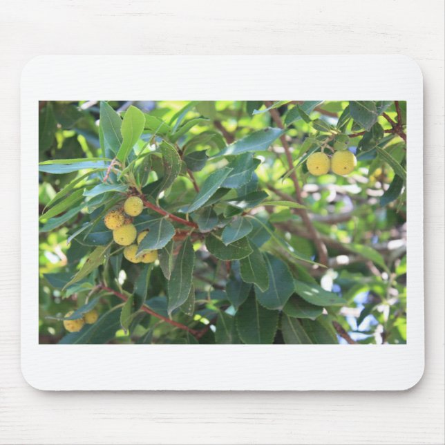 Mousepad Árvore, Italia (Frente)